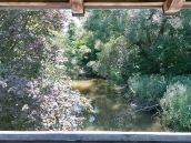 M-net Firmenlauf Trainingsstrecke Schmutterwiesen Residenzquelle 2