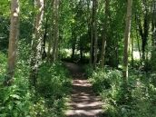 M-net Firmenlauf Trainingsstrecke Schmutterwiesen Residenzquelle 4