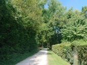 M-net Firmenlauf Trainingsstrecke Lech KUKA 2