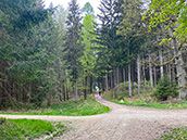 M-net Firmenlauf Trainingsstrecke Wellenburg LEW 4