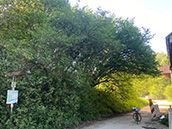 M-net Firmenlauf Trainingsstrecke Wellenburg LEW 2